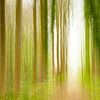 Volg het licht van KC Photography