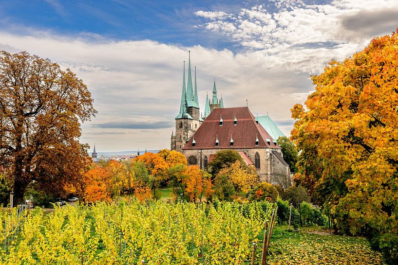 Erfurter Dom von Dirk Rüter