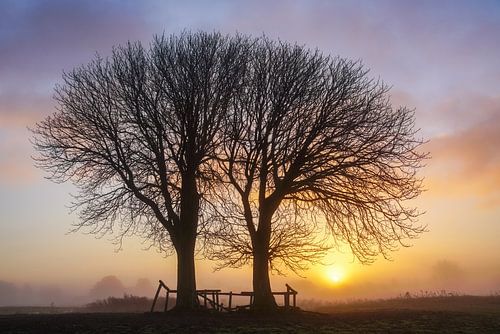 Lentevreugd Wassenaar op een mooie ochtend