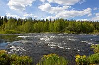 Finse rivier in de zomer.