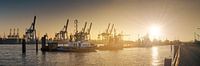 Harbour at sunrise with tugboats and cranes