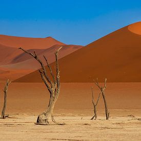 Dead vlei van Antwan Janssen