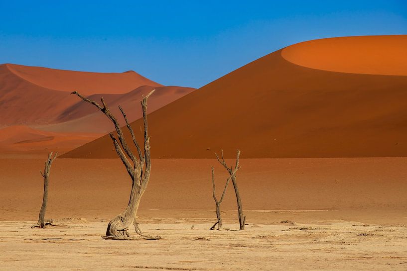Tote Vlei von Antwan Janssen