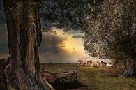 A hot summer afternoon by Gerard Wielenga thumbnail