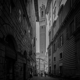 Italy in square black and white, Tuscany - Siena by Teun Ruijters