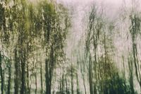 La nature en mouvement
