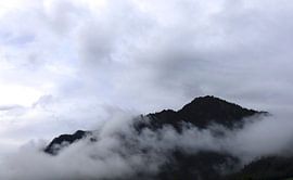 Mystischer Morgen von Thomas Jäger