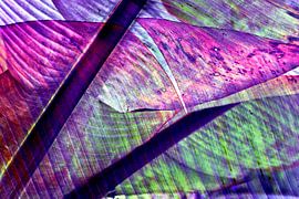 Herbstliches Stillleben mit Bananenblättern