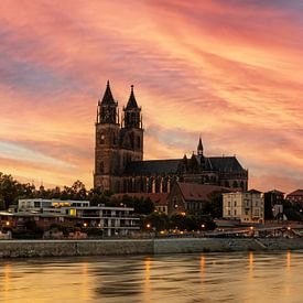 Magdeburg - Panorama Sonnenuntergang von Frank Herrmann