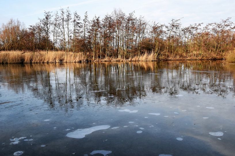 Natuurgebied met ijs in de winter van Susan Dekker