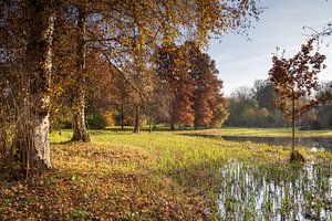 Paysage d'automne