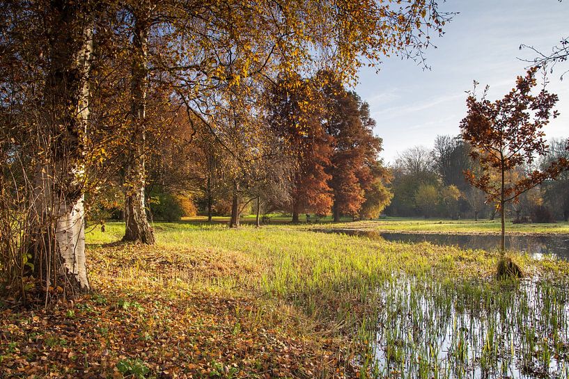 Paysage d'automne par Bas Rutgers