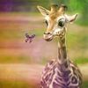 Gina in love by Silvio Schoisswohl