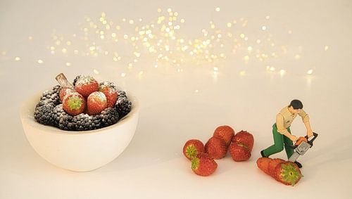 Nature morte de la fête des fruits . 20 % de réduction maintenant.