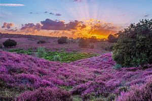 Zonsondergang Posbank van Patrick  van Dasler