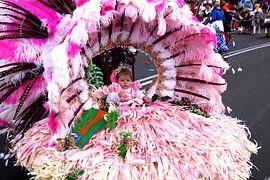 Carnaval van Henk Langerak