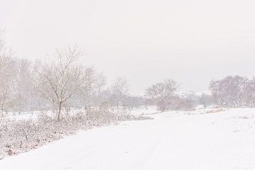 Winters landschap sur Carla Eekels