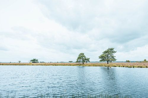 Uitzicht over water - Vennen op de Dwingeloosche Heide - Drenthe, Nederland