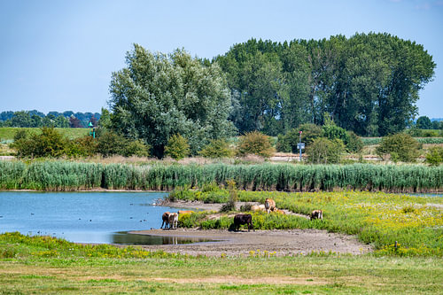 Rust langs de rivier de Lek