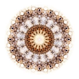 Compositie Wildebeest 2 sur Herman van Ommen