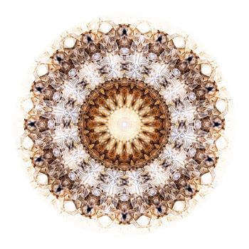 Compositie Wildebeest 2