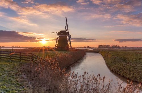 Typical Dutch landscape