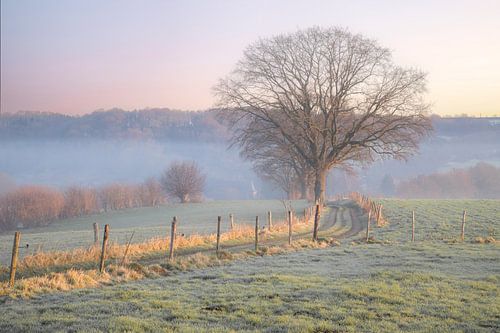 Een slingerend pad door de heuvels van Zuid-Limburg