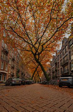 Amsterdam Lomanstraat portrait van Bfec.nl