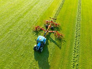 Traktor, der einen Kreiselschwader zum Einsammeln von Heu zieht