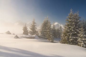 Fresh snow in the Tannheimer Valley in Tyrol Austria. Snowshoeing to the sunrise on the mountain abo