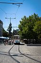 Tram next to a market in Porto, Portugal by Kelsey van den Bosch thumbnail