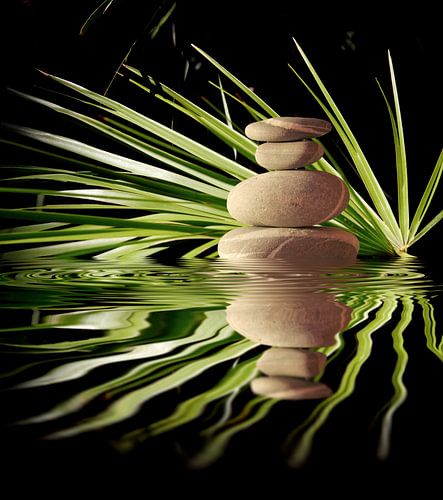Reflets Zen