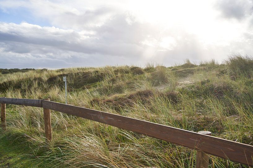The dunes in the sun by Lisanne Storm