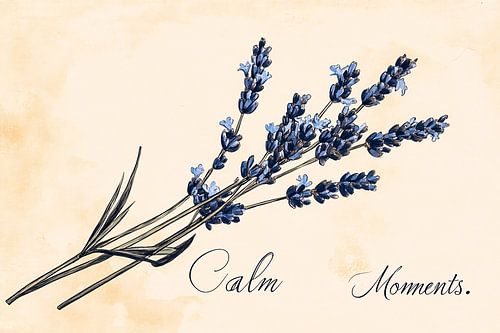 Illustratie van lavendel en tekst