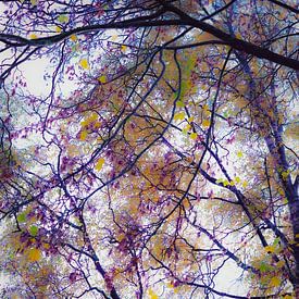 Purple Canopy – wo Schichten lebendig werden von Gertinez Gallery