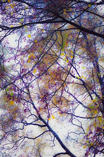 Purple Canopy – wo Schichten lebendig werden von Gertinez Gallery