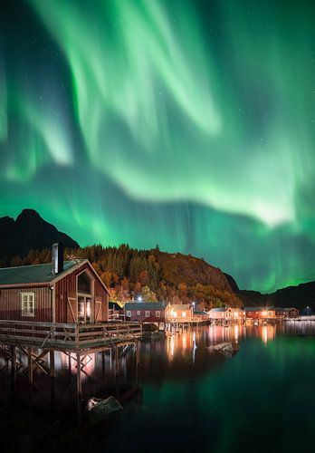 Northern Lights Above Nusfjord Lofoten