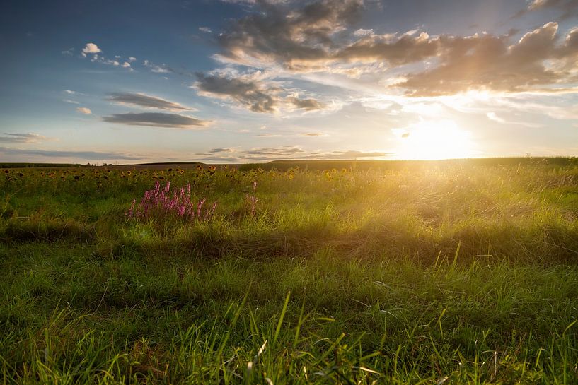 Sunset by Thomas Heitz