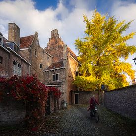Herbst in Middelburg von Thom Brouwer
