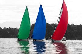 Racing Sailboats 3 side by side  by Brian Morgan