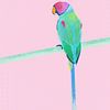 Moderne papegaai illustratie, kleurrijk Kunstwerk op roze achtergrond van Femke Bender