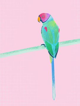 Moderne papegaai illustratie, kleurrijk Kunstwerk op roze achtergrond van Femke Bender