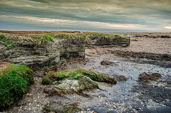 Wattenmeerküste @Moddergat-Paesens (Friesland)