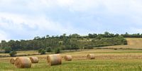 France Dordogne van Antoine Sprangers thumbnail