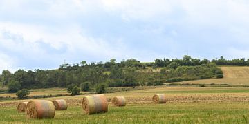 France Dordogne