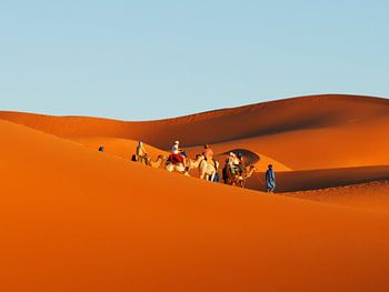 Colored Desert Walkers