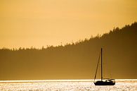 Abendstimmung auf Vancouver Island von Dirk Rüter Miniaturansicht