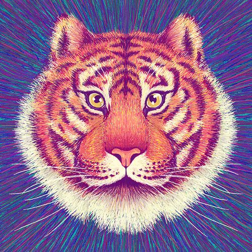 Visage d'animal Tigre