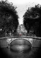 AMSTERDAM CITY PORTRAIT - CANALS
