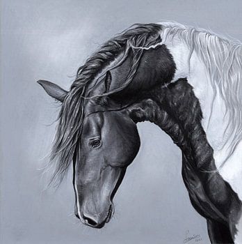 Pferdezeichnung Leontine van Vliet